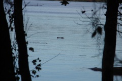 SFMC Wilderness Challenge 2010 